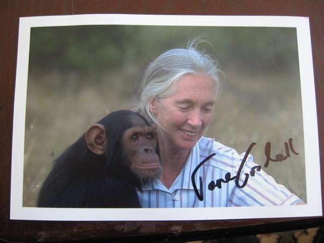 janegoodall1.jpg