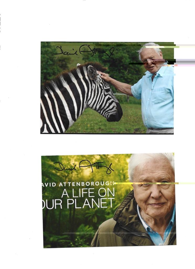 David_Attenborough.jpg