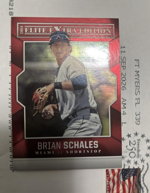 schales.jpeg