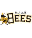 salt-lake-bees-computer-wallpa.jpg